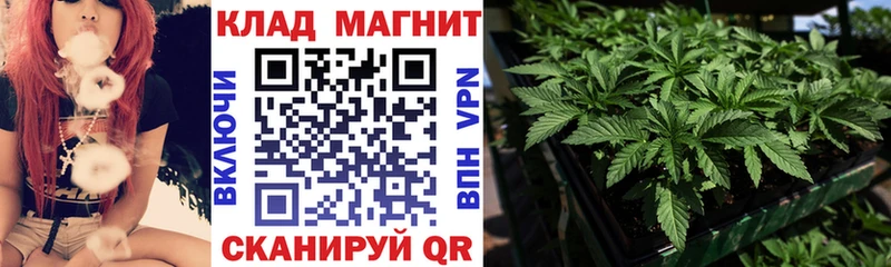 Что такое Вятские Поляны Конопля  Alpha-PVP  Амфетамин  МЕГА ТОР  ГАШИШ  МЕФ 