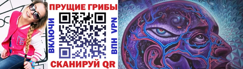Псилоцибиновые грибы GOLDEN TEACHER  где купить   Вятские Поляны 